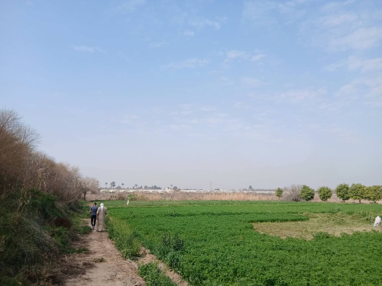 السلام عليكم
ارض زراعية للبيع اطلالة على الشط بمساحة ٧ دونم ونص مع بيت مبني غرفتين وصالة ومضيف في منطقة المدائن صطيح 
للاستفسار على الرقم ***********
