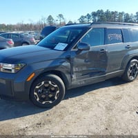 سنتافيا • ٢٠٢٦ • بدون كمرك