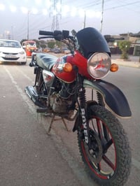 بوكسر هندي 2023 • موديل جبلي • الغزالية بغداد