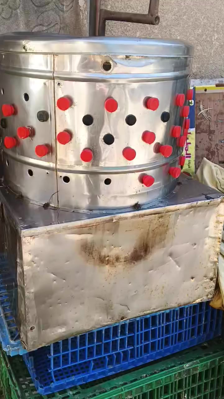 يالله يارزاق سلام عليكم هلاسه دجاج يدويه البيع مكان بغداد سبع قصورتواصل على رقم***********
