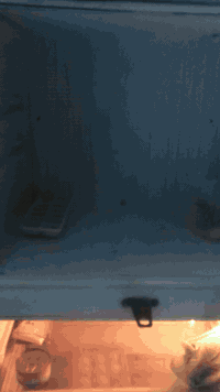 امانه ثلاجه نطيفه حجمه جبيررر سببب البيع حجمه حبير وشقته صغيررر تجميد فول تبريد ماله متوسط لانو منقصه غاز شوي 

تاخذه من باب البيت واذا بيه مشكله ترجع وضمان يومين اشوفه 
سعر 100 متسعجل عليه 
***********
