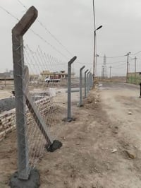 حله • سنغافورة