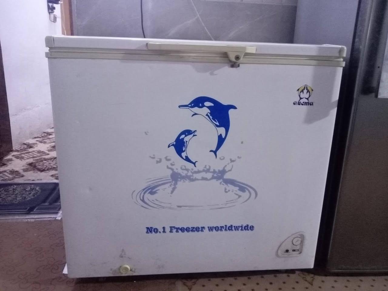 سلام عليكم مجمده للبيع تجميد فول ع فحص ب150وبيه مجال بسيط


**إذا كنت صاحب هذا الإعلان وتريد حذفه لأي سبب، رجاءا أرسل رسالة إلى الدعم الفني**