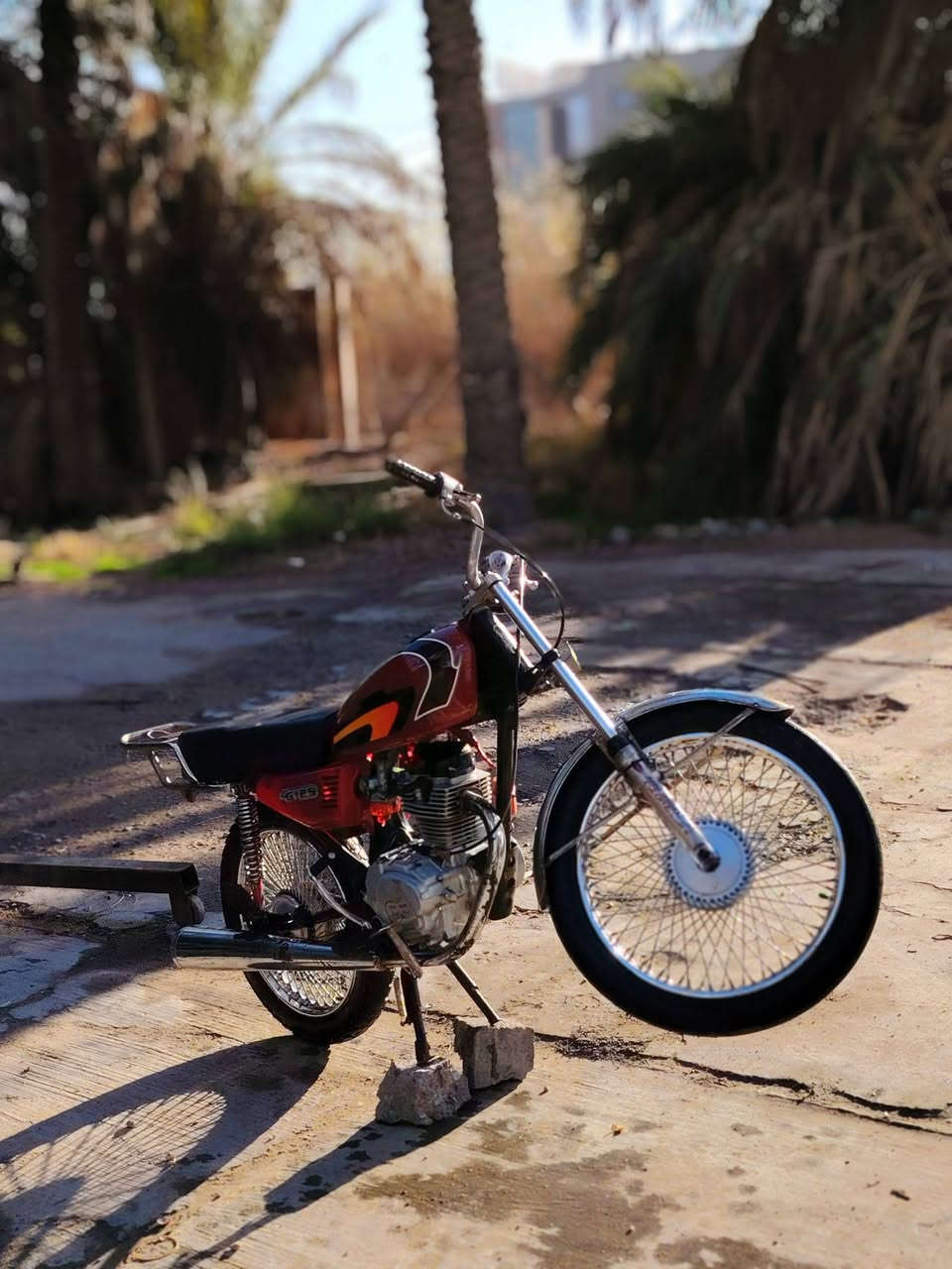 مراوس حسب القناعه تايكر مديل 20 كفاله مكاني بغداد ناحيه الوحده قرب  بمسايه ***********
