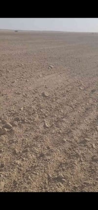 أبو غار سماوه • ١٣٥ دونم • واجهة شارع