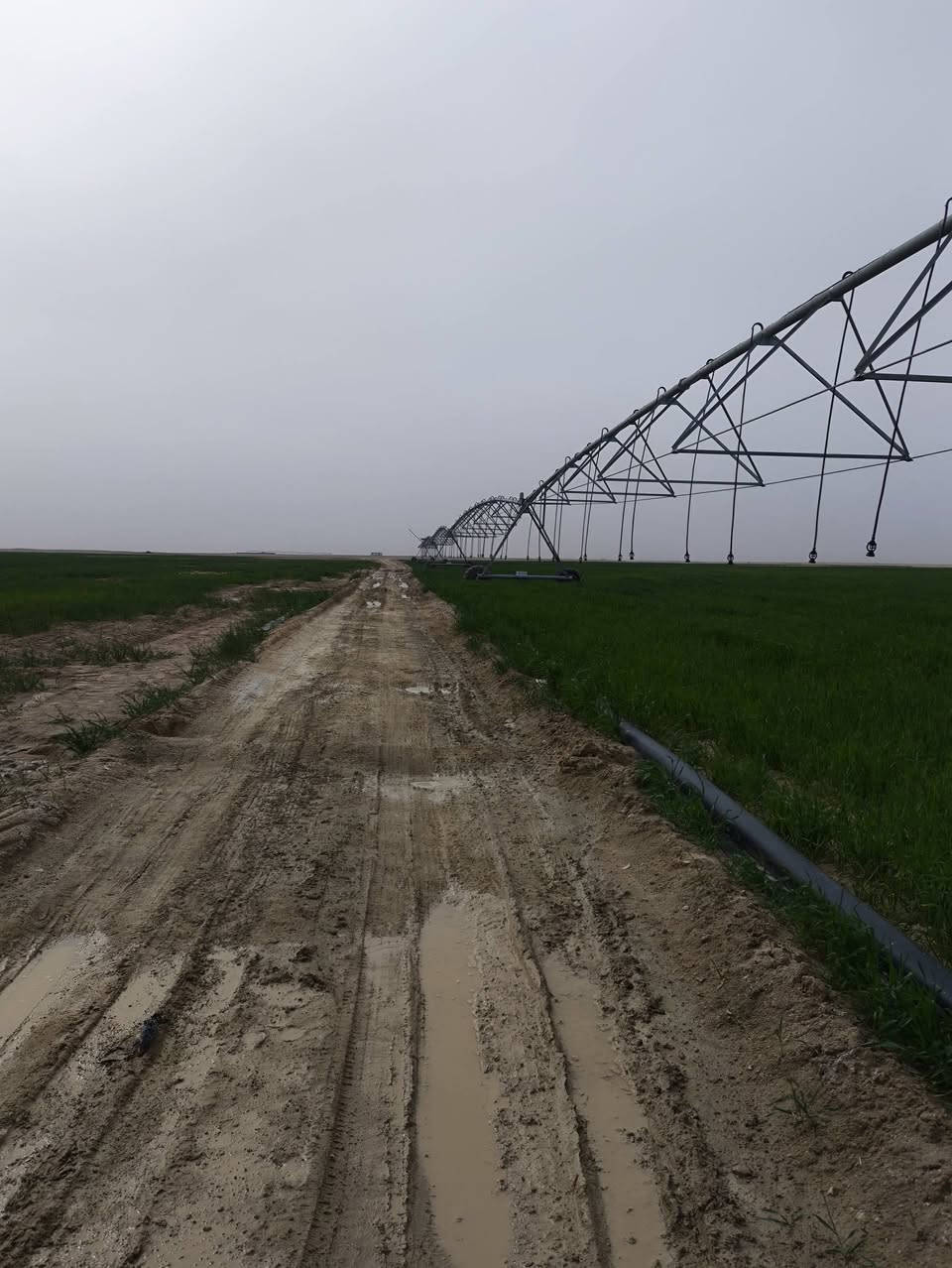 ارض 200 دونم للستثمار حسب الاتفاق الركايه يم العلويه
***********
