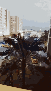 A8 • ١٠٠م • صاحب الشقة