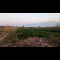 طوريج الخيرات • ٤ دوانم • واجهة ٣٦م