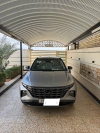 توسان امريكي • ٢٠٢٤ • غرق