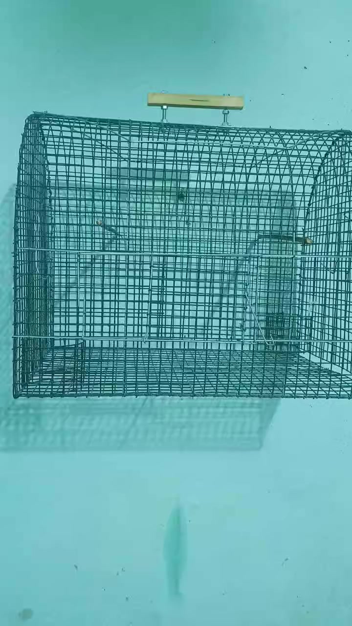 سلام عليكم متاح قفص نضيف حيل سعر ١٠ قفل


**إذا كنت صاحب هذا الإعلان وتريد حذفه لأي سبب، رجاءا أرسل رسالة إلى الدعم الفني**