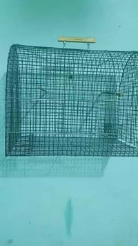 قفص • نضيف حيل • متاح