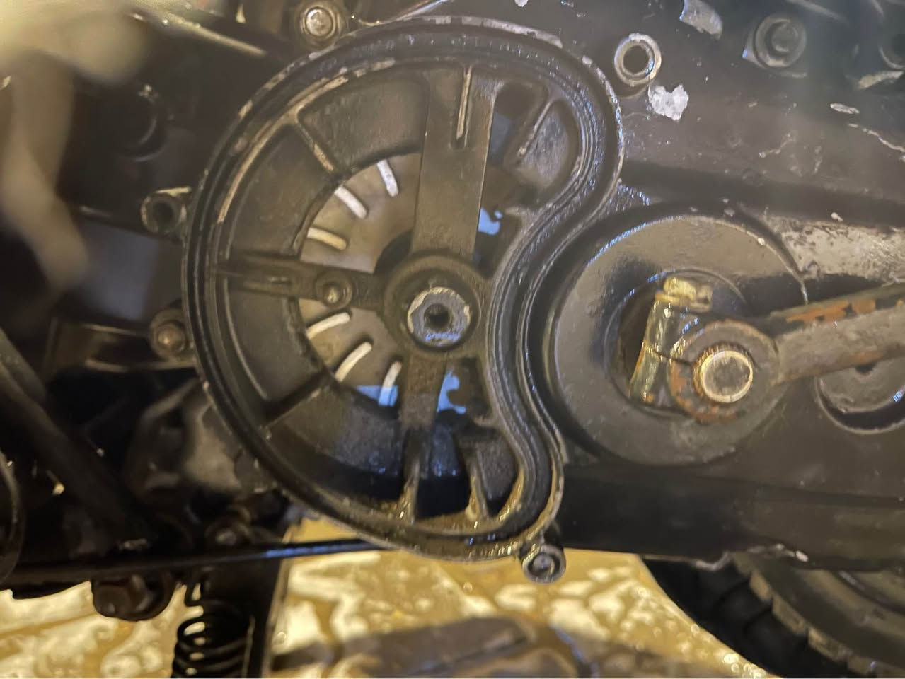 سكنس نثيه مزوده كابريتر قفاز مكينه تخم كلجات جاملغات عقل يدات كلشي بيها مزود البصرة, العراق


**إذا كنت صاحب هذا الإعلان وتريد حذفه لأي سبب، رجاءا أرسل رسالة إلى الدعم الفني**