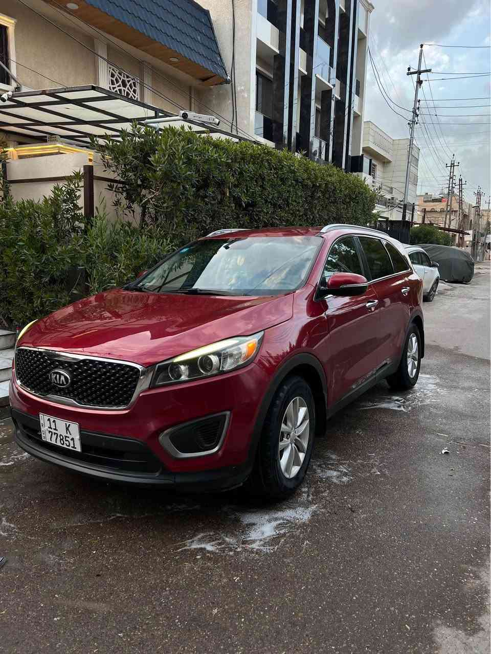 سورنتو 2016 رقم بغداد بااسمي وارد امريكي حادثه جاملغ وباب خلفي بيه ايرباك برده فقط مكينه 4 سلندر 2400 مكينه كير خير من الله 5 راكب تخم تاير جديد صدر امامي خلفي جديد مواصفاته نص شادله شاشه تاب المكينه معلي الكازكيت انسه شي اسمه دوانز مسويله ادامه كامله نوزلات وبلكات وفلاتر منضومه تبريد  مبدله كله جديده  شاد كمبريسر بستم تبريد ثلج سياره بيه جاملغ وباب صبغ وملاون الباب الامامي فقط يعني 3 قطع صبغ وعندي صوره من صبغته عارضه 158 وبيه مجال بسيط للطيبين مكاني بغداد حي الجهاد *********** بيع فقط بغداد, العراق
