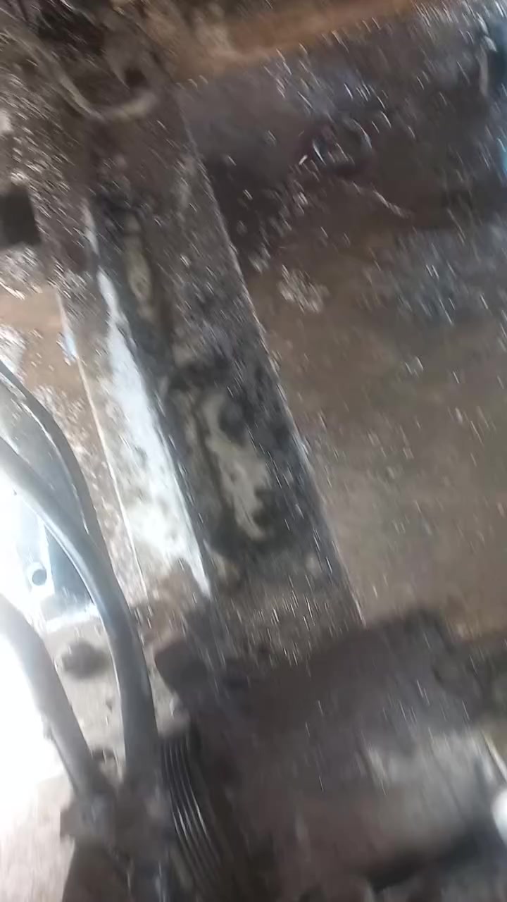 ***********
***********
العنوان الدجيل
