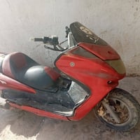 ماجسته • دبل • ما بيه نقص