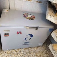 مجمدة • ٣٠٠ لتر • نضيفه