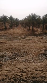 طريق بغداد كربلاء • ٥٤٠٠م • سند ٢٥