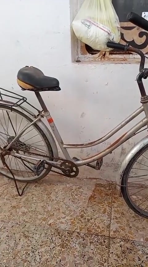 السلام عليكم للببع ع خاص


**إذا كنت صاحب هذا الإعلان وتريد حذفه لأي سبب، رجاءا أرسل رسالة إلى الدعم الفني**