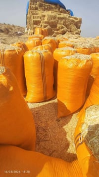 ورحمه الله وبركاته تبن حنطه مطحون درجه اولى نضيف ابيض وناعم القياس 80*...