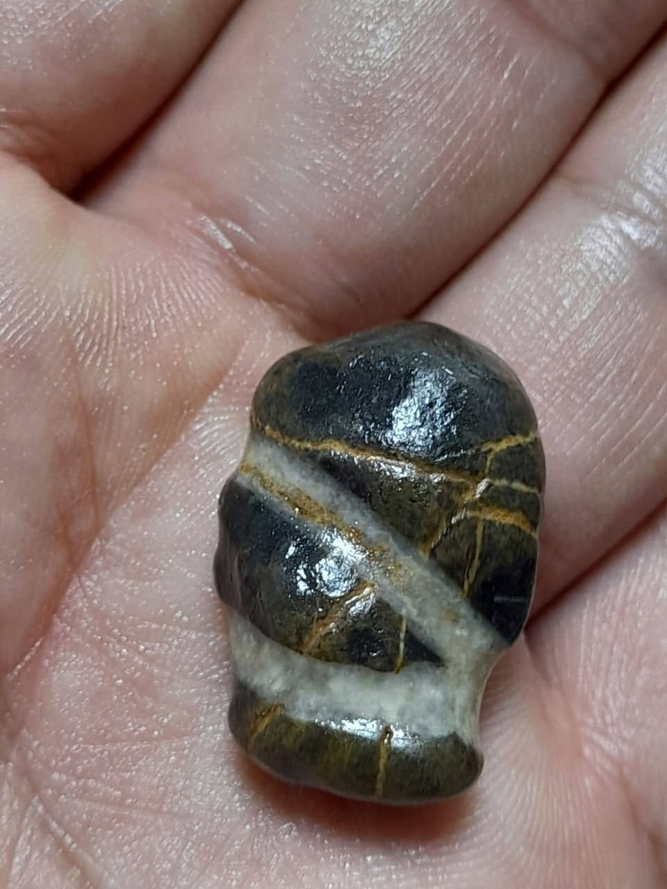 السلام حجر سلطاني ملاقط مصور حيه للبيع او مرواس بخواتم العنوان بغدادلاعضمية ***********
