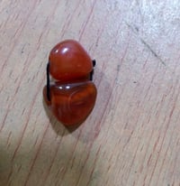 منو شراي • اكسسوارات