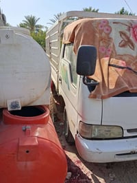 فنتيره رقم بغداد  مراوس بسايبه منغولي العنده يتفضل 07800636865