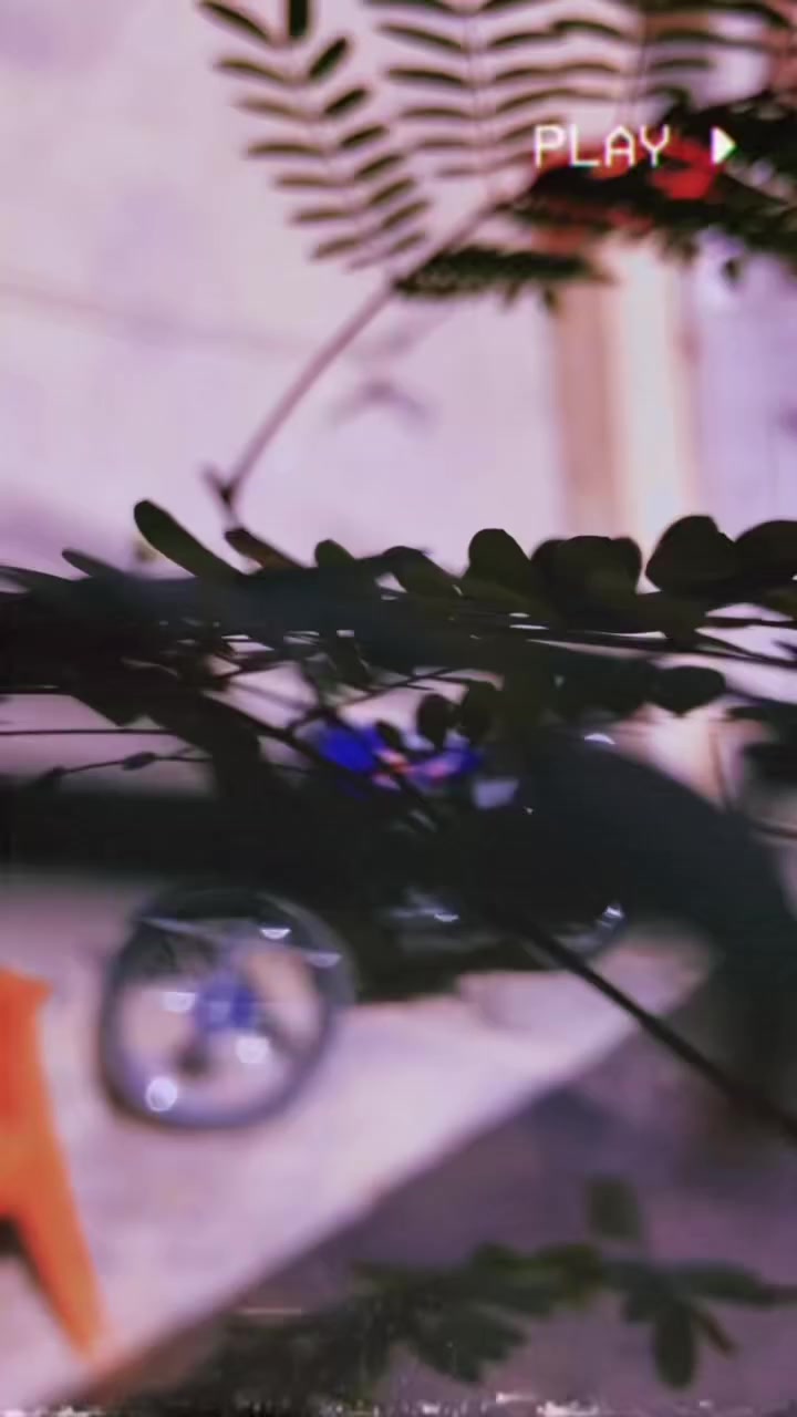 سلام عليكم شلونكم حبايب دراجه للبًيع بعده زيرو صار شهر من شديت الدراجه والمكينه هونده مامفتوحه نشاط ومعدل وفصله ونطيك تراي لمكه للبيع او المراوس بتايكر مكاني سامره المو شراي لا يتعبني


**إذا كنت صاحب هذا الإعلان وتريد حذفه لأي سبب، رجاءا أرسل رسالة إلى الدعم الفني**