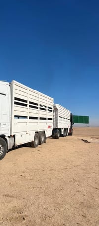 للبيع بودي مال اكتروز جديد طول 8متر بلادي   بريص 480 كهربائيات كله جدي...