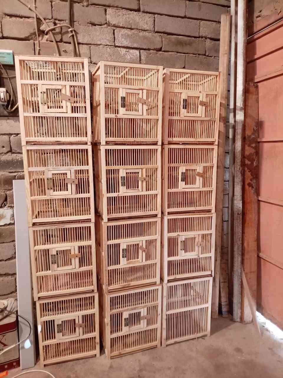 اقفاص بلابل بأشكال مختلفه واسعار مختلفه وبيوت طيور حب وفناجس وغندوره وكل انواع الطيور حياكم الله تواصل ع الخاص او واتس اب ***********
