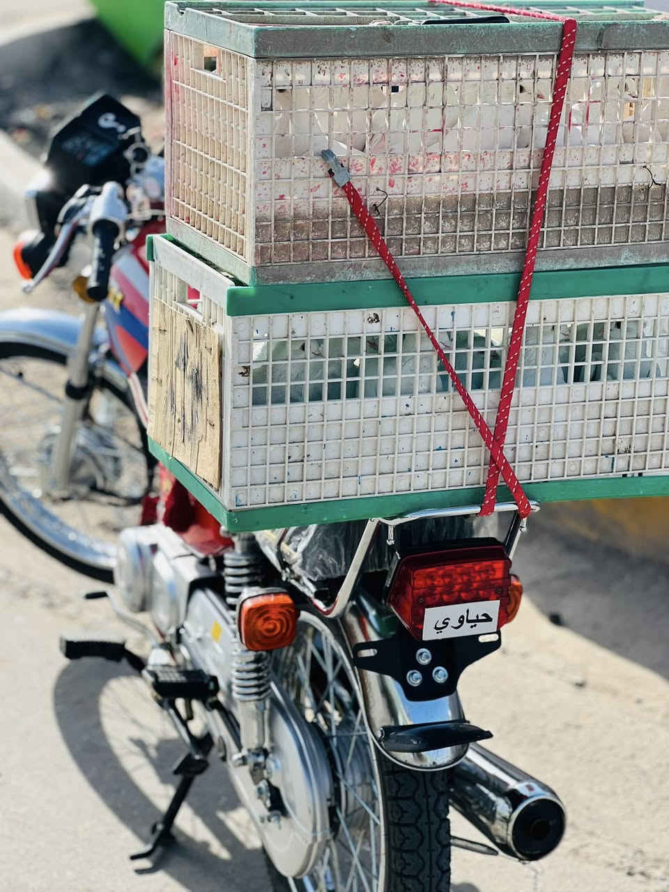 سلام عليكم شباب دراجه البيع مكفوله محركه ناعم التفاصيل ول سعر اتصل عل رقم ***********
