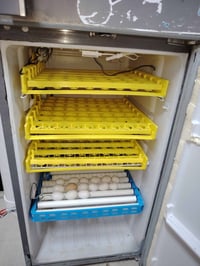 فقاسة فول أوتوماتيك • سعة ٢٠٠+ بيضة • متحكم RZ