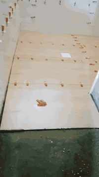 تركيب سيراميك • ارضيات • متفرغ حالين