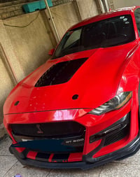 بنيد ودعاميه شيلبي للبيع او مراوس ب بلاد رقم الهاتف 07719199013