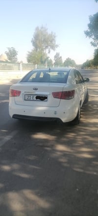 سيراتو كوري • ٢٠١٣ • رقم سليمانية ٢٠٢٩