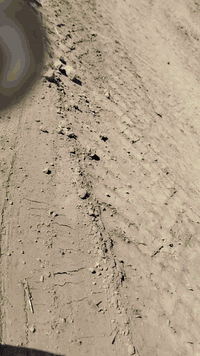 السلام عليكم كادر حيدر العجيلي  لدفن قطع الاراضي الزراعية والبتلوات  ' رمل شط لعمل الحدائق و عمل المشاريع مثل مد الخطوط الكهرباء و مد البواري الماء و يوجد لدينا تراب لعمل السطوح  ولفرشي 
الاتصال  على الرقم التالي  ***********
