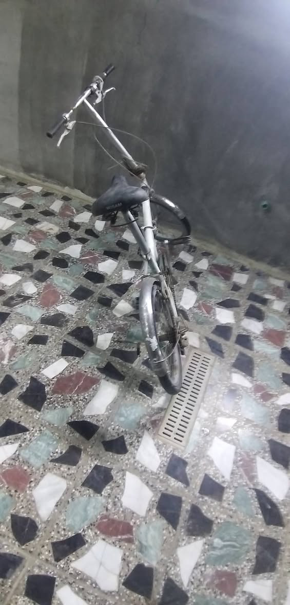 بايسكل للبيع السعر ٢٥ وبي مجال


**إذا كنت صاحب هذا الإعلان وتريد حذفه لأي سبب، رجاءا أرسل رسالة إلى الدعم الفني**