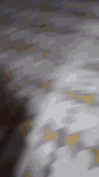 سلام عليكم بسبب الوعود الكاذبه تكتك زيل للبيع مكاني واسط صويره 18 آوراق محركها مجفت شركه بلادي تفاصيل داخل الفيديو سعرها مليون و950 وبيه مجال بسيط الاستفسار خاص او اتصال ***********
