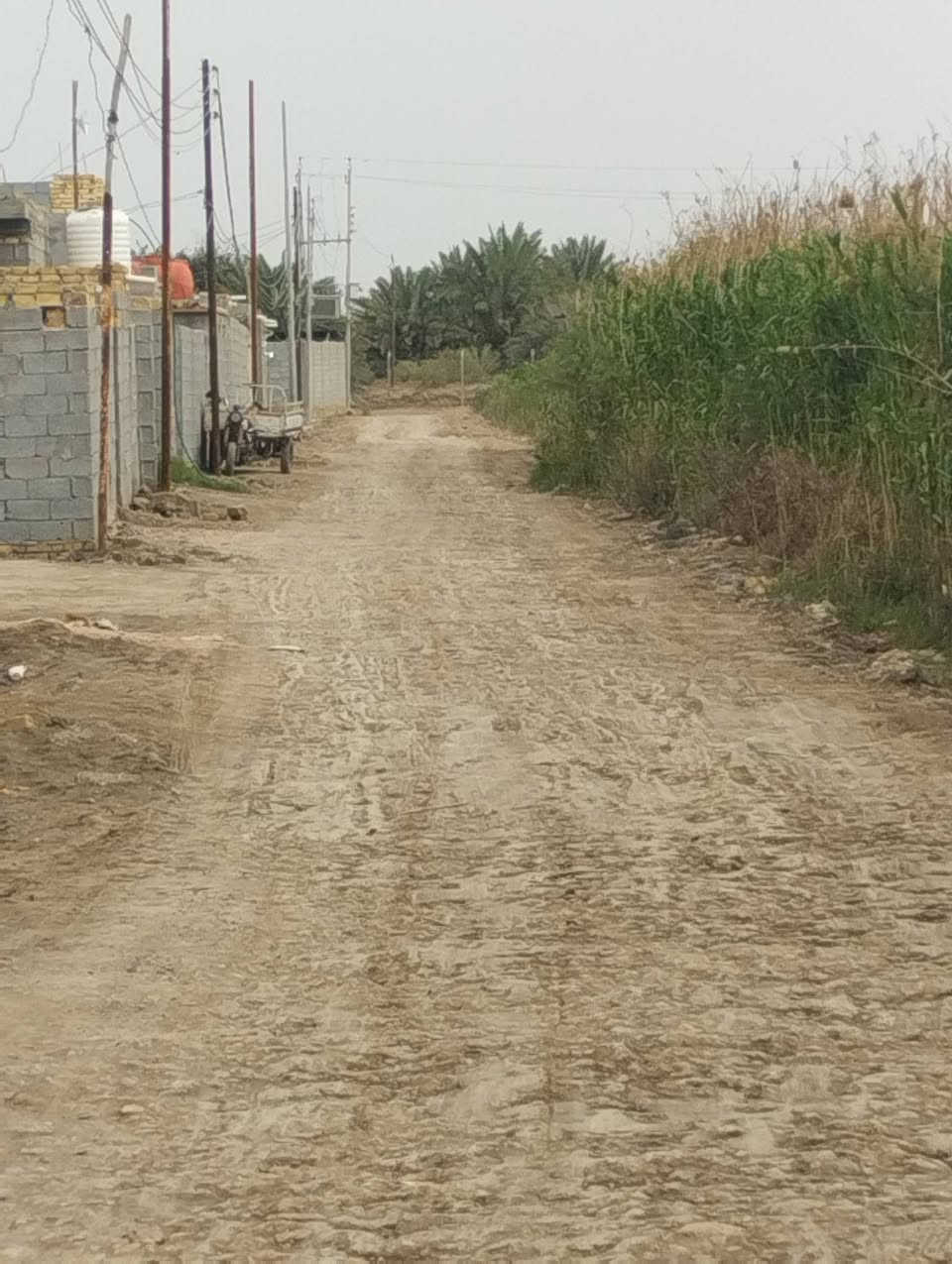 بسم الله الرحمن الرحيم 
قطعه زراعي للبيع 
صوب بني ركاب 
طريق المشايه 
بجوار بستان ال حيذور 
الخدمات موجوده 
كهرباء ومي وشارع 
المساحة 250
السعر 9
وبيها مجال 
للتواصل الاتصال على الارقام 
 الموجوده بالاعلان 
***********
***********
او مراسلة الصفحه 
#هادي_الحجيمي
