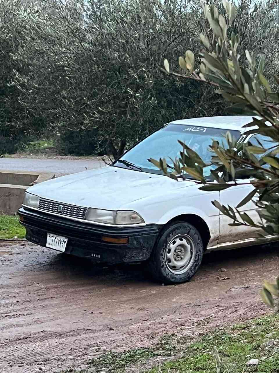 سەرەتا بەناوی خوا توێتا کرۆلا 1990 ڕەفیتحیزبی 
گێرو مەکینە زۆرمەزبوتە نەکراوەتەوە 
گێڕ عادی 
پاوەر نییە 
تەبریدو تەتفی مەزبوت 
سەیارەکە چەمەلەغی لای سایەق پێشۆ نیوەی بۆنیدەکەشی پەڵەیەکی بۆیاخە ماباقی هیچیپێوەنییە سەیارەکە سەنەوی بەغدای لەگەڵەو ئاڕمی دهۆکیش سەیارەیەکی بێمەسرەفە ماشەڵا زۆر جوانە 
تەنها فرۆشتنە لەگەڵ ڕێزدا سعری 50 معامەلە 
***********
*********** السليمانية, العراق
