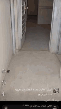 بيت للايجار  عنوان بغداد جديده شارع مسبح خلف فوج طؤرى.   مكتب اسد بغدا...