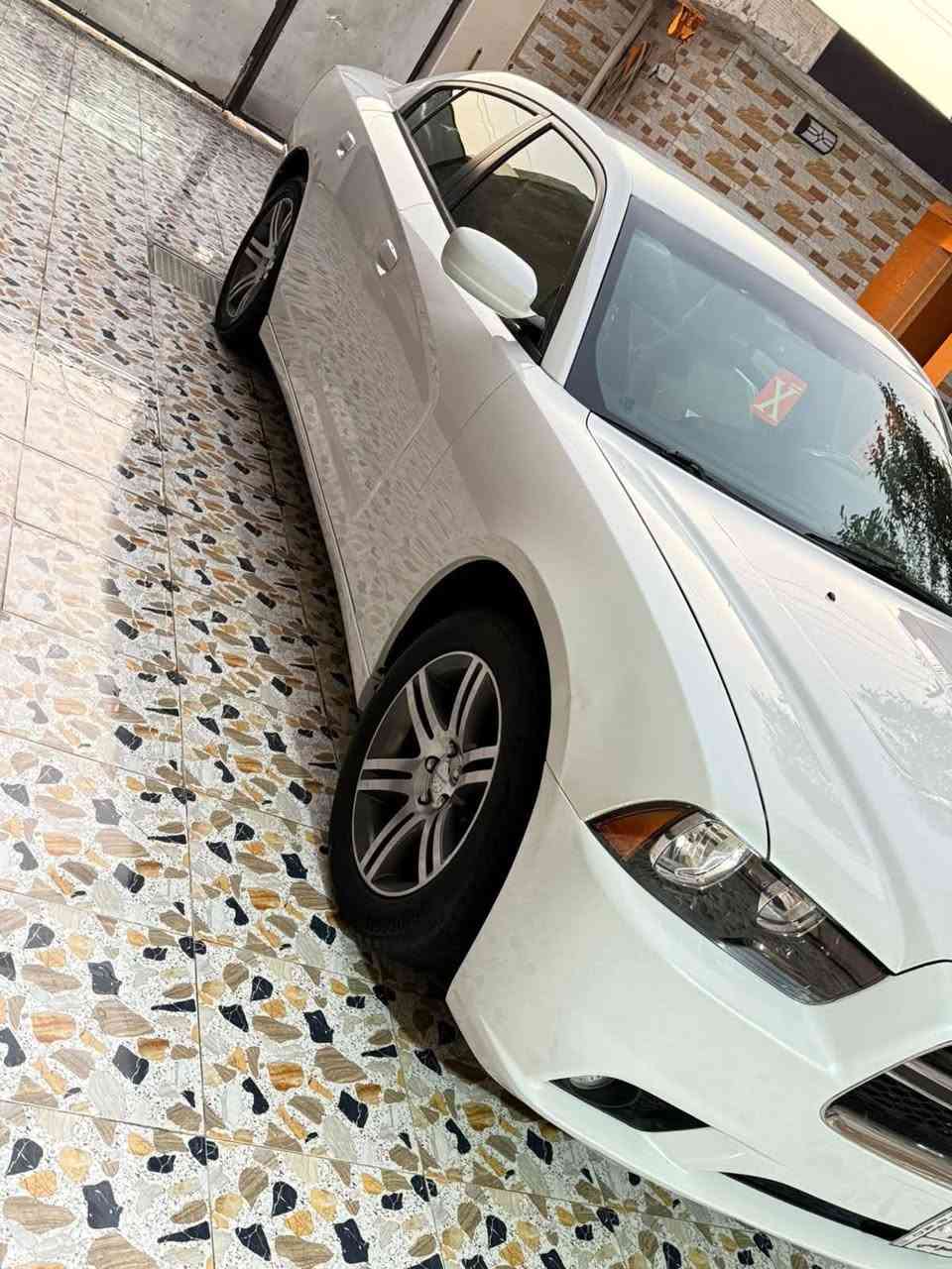 جارجر خليجي 14كفاله كفاله  ولفحص موجود لسونار السعر 95كفاله سرقه وعشاير وكص وصبغ ونتر بول هاتف***********
