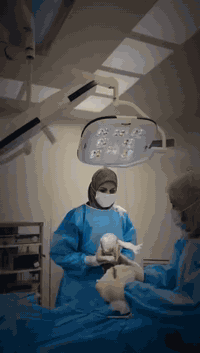 قيصريه اوليه بسبب اعتلال المقعد 
ولد على ثلاثة بنات 
الدكتورة نرمين خضير الغانمي
اختصاص الامراض النسائية والتوليد والعقم ورعاية الحوامل
الحاصلة على المرتبة الاولى في شهادة البورد العربي ( الدكتوراه )
زميلة المجلس العربي للاختصاصات الطبية
تتواجد في عيادتها كل ايام الاسبوع ماعدا يوم الخميس علما ان فحص السونار مجانًا في كل ايام الاسبوع
أوقات الدوام من الساعة الثالثة عصرا الى الساعة السادسة والنصف مساءً .
العنوان : بابل - مدينة القاسم - شارع الأطباء - مجاور صيدلية النبع الصافي - مقابل مدرسة تدمر الإبتدائية.
للحجز والاستفسار
 الرجاء الإتصال على الرقم :  ***********
