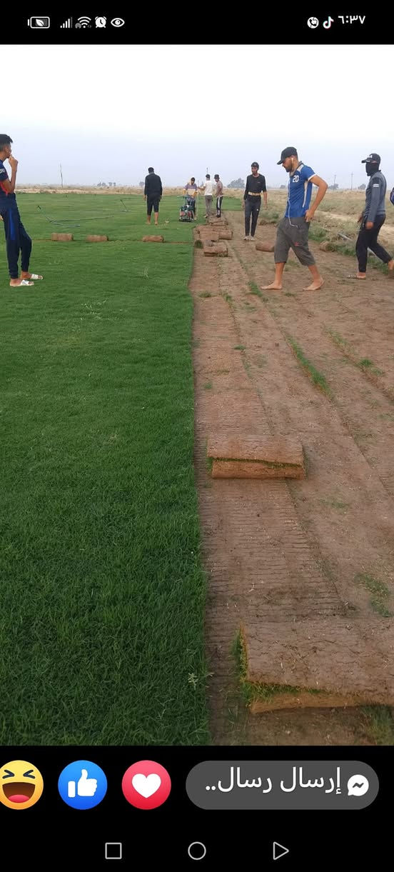 للبيع الثيل الاجمل الثيل الطبيعي بكافه انواعه
ثيل درجه اولا
للاتصال ***********
