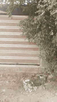 سلام عليكم بيت للبيع مساحه 170 معسكر البلديات 
واجهة 6فى 28 اول فرع بلمعسكر موقع حلو 
عالي الشارع سعر 75 بي مجال قليل للاستفسار ***********
