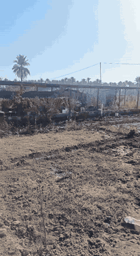 🎴دونم للبيع
سند 25 إقرار محكمة 

 الموقع كربلاء مقابل المعهد الفني قرب نهر البو سفن خلف مدرسة الرميله واجه 60 الولى والثانيه حوالي 30 متر جهة البيت و السيباط مال العنب بي بيت مساحة 130 متر غرفتين وصاله كبيره والخدمات الصحيه عن شارع طويريج كربلاء حولي 400 متر شارع فقط مشي اما الشوارع الباقيه كيلو عن الشارع العام من يم مدرسة الرميله وتنزل او من بني اسد او من المشروع ( شارع السياحي) كافة الخدمات متوفرة عدى التبليط مخدوم ومصمم على شكل مزرعه دار استراحه البستان صاير ركن على شارعين السعر 170 مليون

للاستفسار أكثر اتصل 
***********
