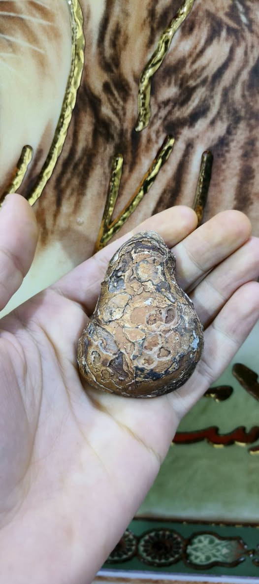 اللهم صل على محمد وآل محمد
قطع انتيكة من أحجار السلطاني تراثية قديمة بسعر البلاش روعة تحفة التحف سعر زوج ٢ ب١٥ ألف مقتنيات روعة توصيل موجود لكل العراق ٥ آلاف دينار فقط اكو جملة هم بسعر أقل وبلخدمة للطلب خاص واهلا وسهلا للعلم كلة رباني


**إذا كنت صاحب هذا الإعلان وتريد حذفه لأي سبب، رجاءا أرسل رسالة إلى الدعم الفني**