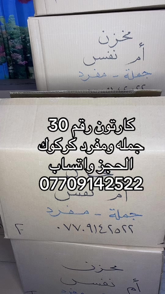 #كركوك_القادسيه_الاولى🔥🏅 #creatorsearchinsights #ملابس #اطفال #shopping 


**إذا كنت صاحب هذا الإعلان وتريد حذفه لأي سبب، رجاءا أرسل رسالة إلى الدعم الفني**