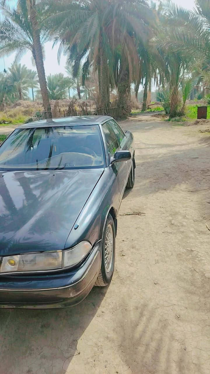 للبيع فقط مارك تكم كربلائي موديل 90
رقم بابل بإسمي شخصيا سنويه لل30
سياره جاهزه من كلشي ترايك وين متريد 
صبغ عام جماليه كفاله من الكص ونقل الجثه 
كهربائيات كله شغاله حداده قبل سبوع مسويه مشط ستيرن جديد 
كلشي بالسياره جديد تخم تاير 
قطره خياس مابيه السياره 
ناشفه ونظيفه استخدام جناي
السعر 47 وبيه مجال 
العنوان بابل
*********** واتساب
‏‭0780 992 2083‬
