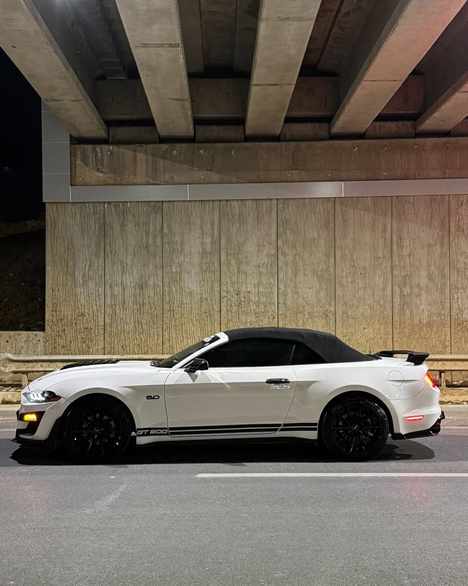 ١_السياره ابيض صدفي
٢_السياره محدث شيلبي GT500

٣_عليه دسكات ماركت بريمبو جديد

٤_اناره ليد متغير الوان  wifi داخليه ٢٧ لون 

٥_كفر مرايه كفر يدات كاربون لحيه دفيوزر  

٦_وياله قياس ٢٠ + ٢ سايز  

٧_ليدات دفيوزر + الجانبيه مال الدعاميات 

٨_عليه ادامه كامله بلكات ونوزلات ودهن جديد motosel

٩_السياره ماشيه ٧٨الف ماشاءلله جديده 

١٠_ حزام صبغ ماعدا الصندوق الخلفي مو صبغ وضربته الجاملغ السكن شويه بيه دواخل 

:-مكان السياره-سليمانيه-***********

:-سعر السياره-١٣٨-ورقه وبيه مجال قليل

:-السياره فقط للبيع بدون مراوس 

سنويه لحد ٢٠٣١ جديده تحويل او وكاله  ثاني يوم
