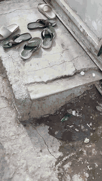 السلام عليكم كرفان 3*4
جهاز من كلشي وكاعدين بيه يعني ما متروك 
ارضيه قويه كلش قويه هيكل شلمان مو بليت قويه كلش 
السعر مليون وبيه مجال قليل عنواني بغداد القاهره 
 ***********
